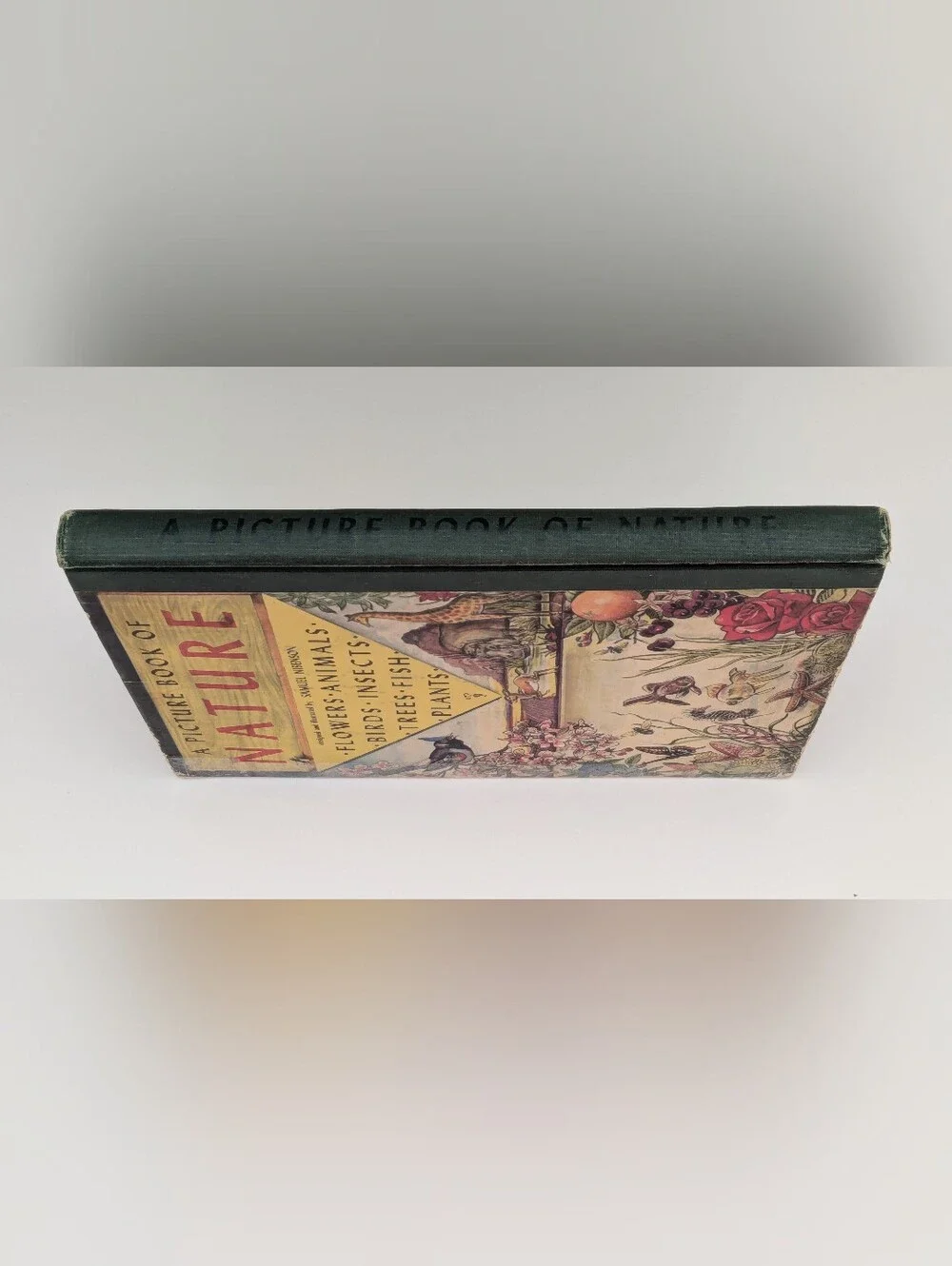 *Vintage* A Picture Book of Nature illustrated by Samuel Nisenson, 1943